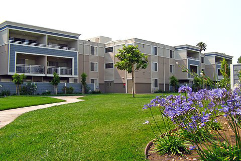 SUMMER HOUSE APARTMENTS photo 4